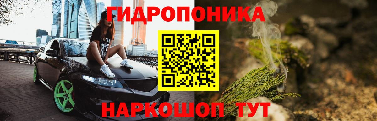 Каннабис конопля Ахтубинск